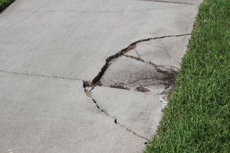Sidewalk Trip Hazard Repair
